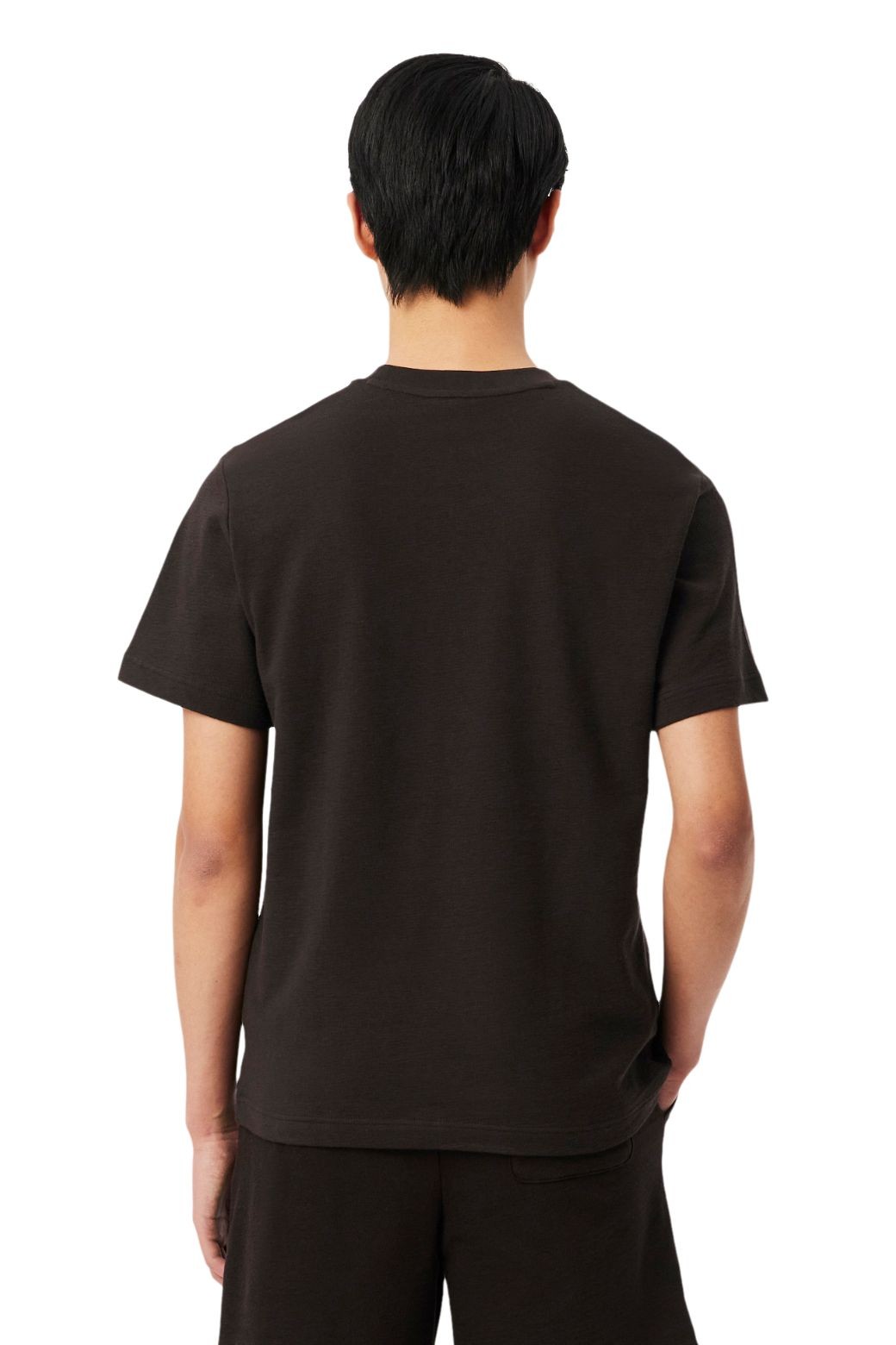 Camiseta Lacoste Punto Marron