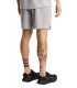 Pantalon Corto The North Face Relieve Gris
