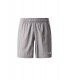 Pantalon Corto The North Face Relieve Gris