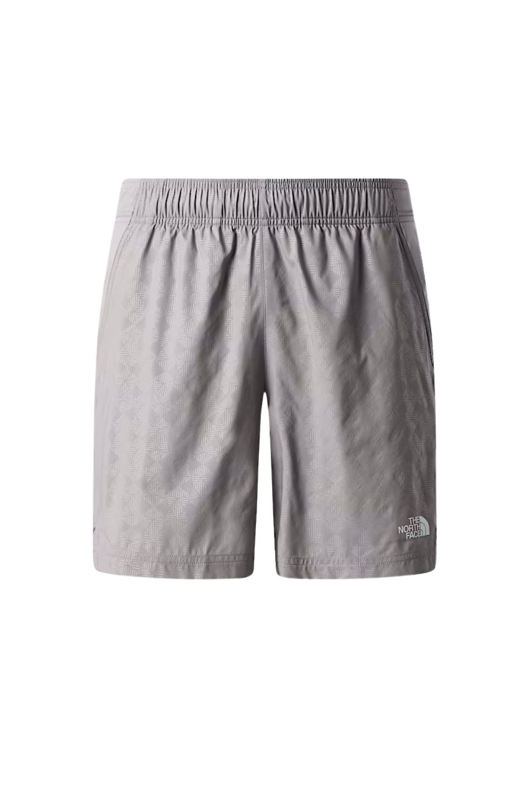 Pantalon Corto The North Face Relieve Gris