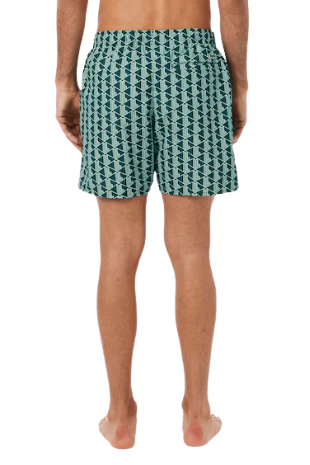 Bañador Lacoste Monogram Verde