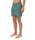 Bañador Lacoste Monogram Verde