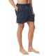 Bañador Lacoste Estampado Croc Negro