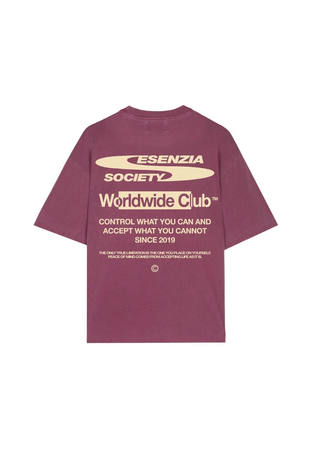 Camiseta Esenzia Grape Graphic Tee Morada