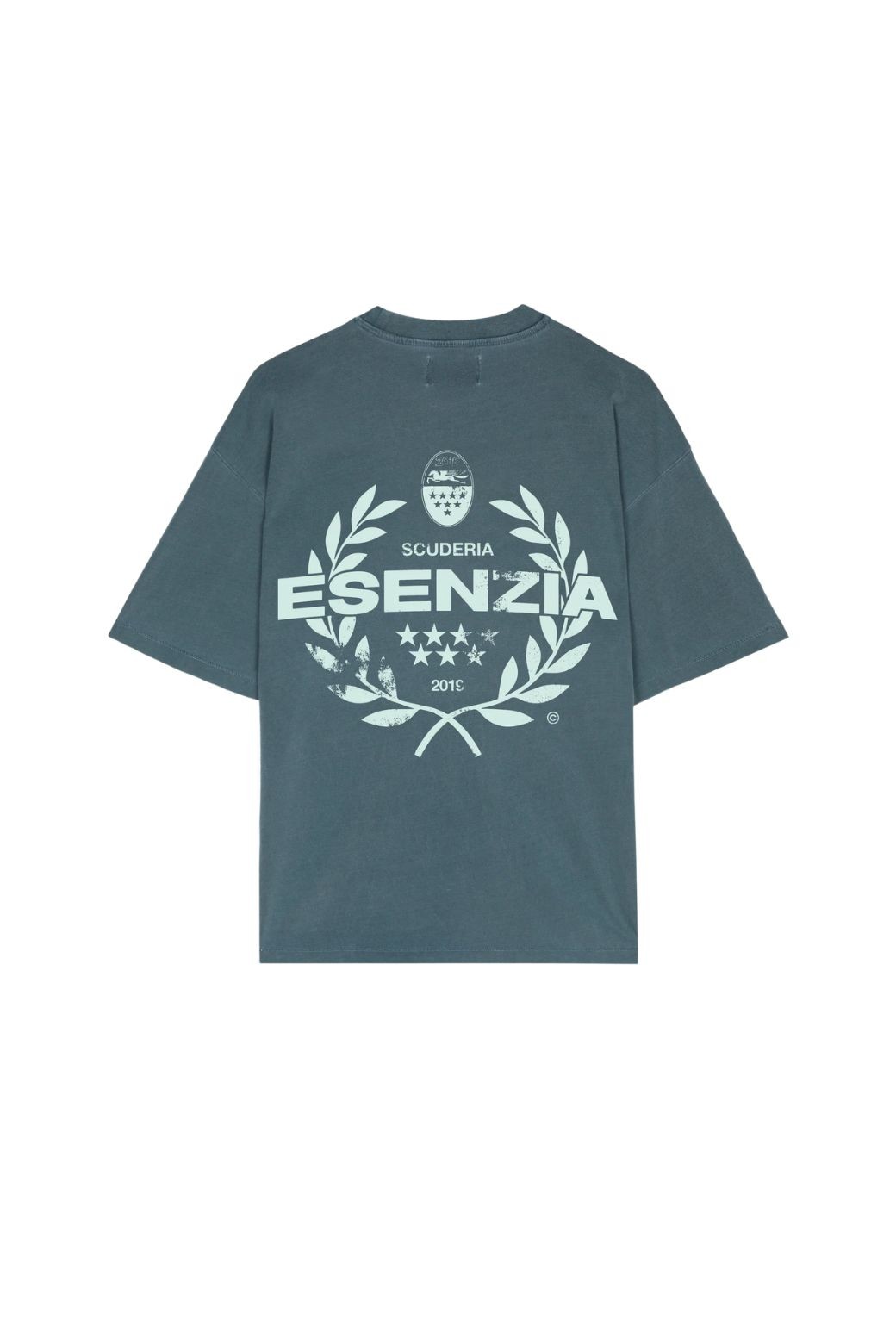 Camiseta Esenzia Sapphire Royal Tee Verde