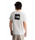 Camiseta The North Face NSE Box Evolution Gris