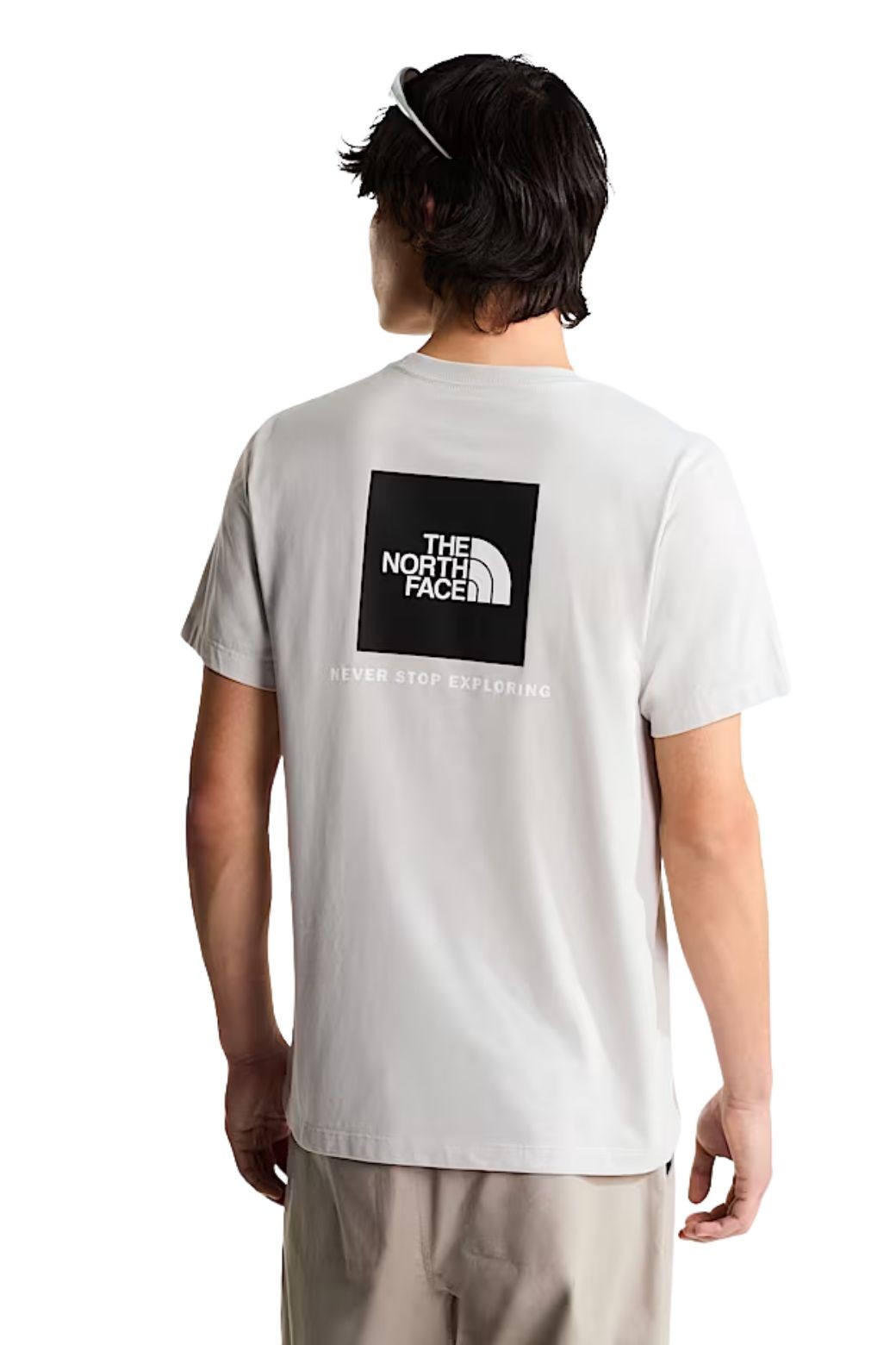 Camiseta The North Face NSE Box Evolution Gris