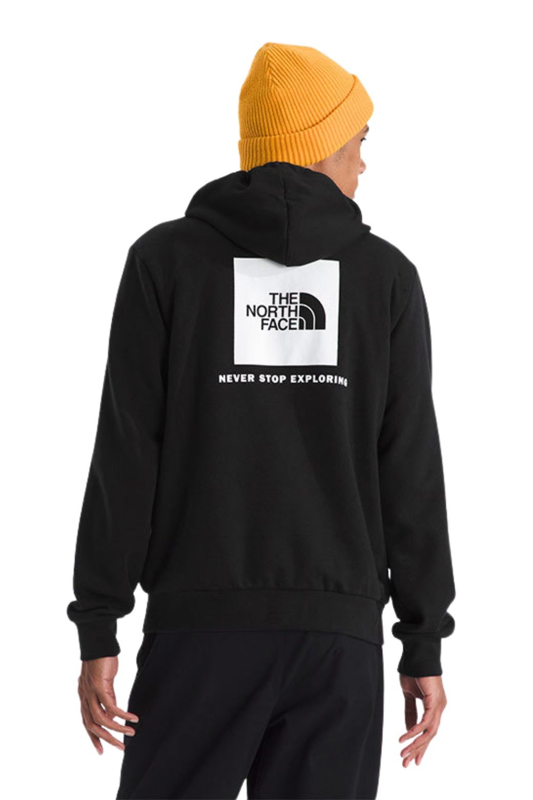 Sudadera Capucha The North Face Evolution Box Negra
