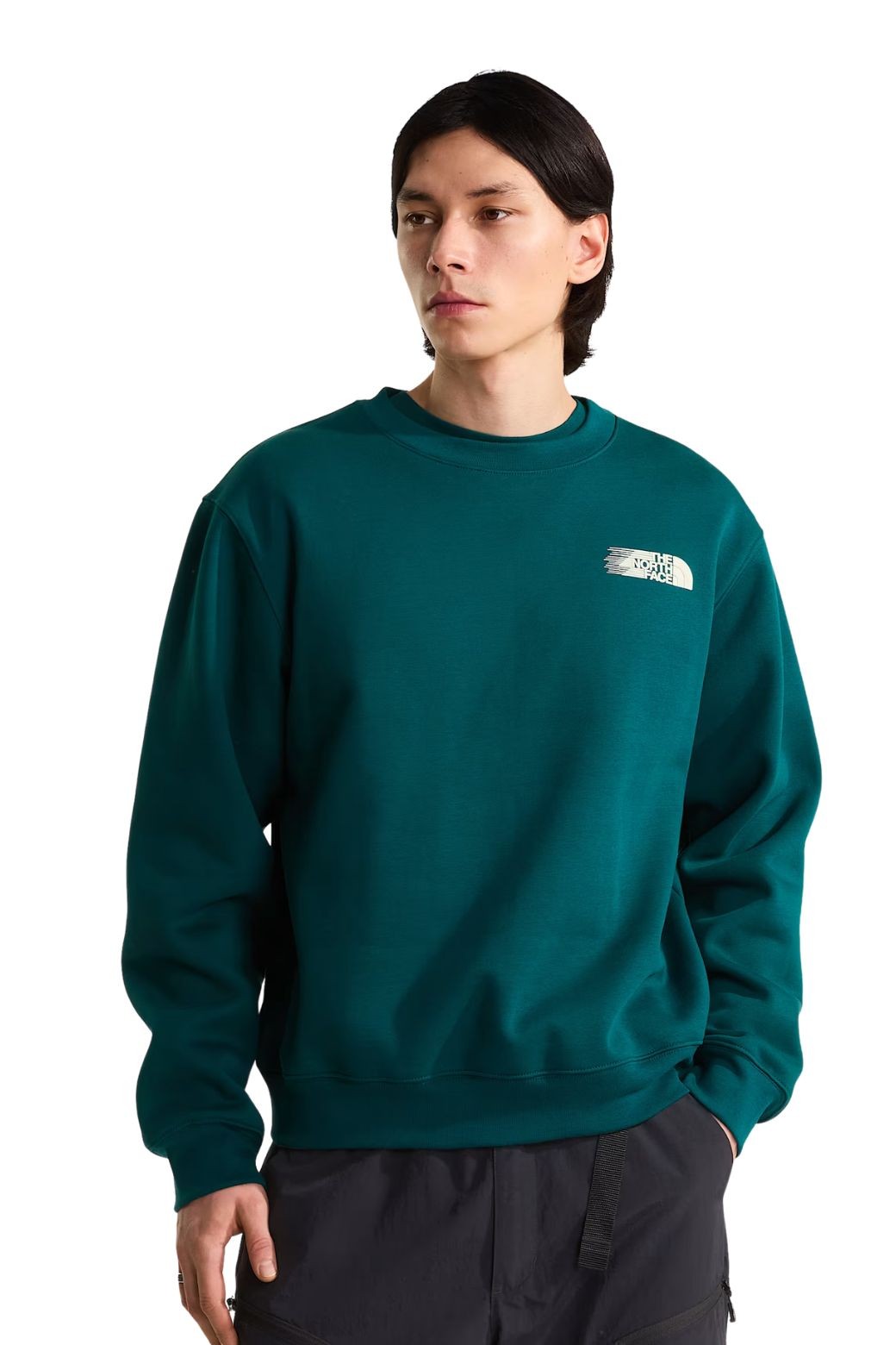 Sudadera The North Face Retro Trail Verde